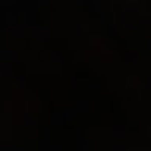 Meet your Posher, Lilee